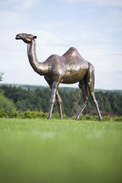 Kamel aus Metall maridadi art